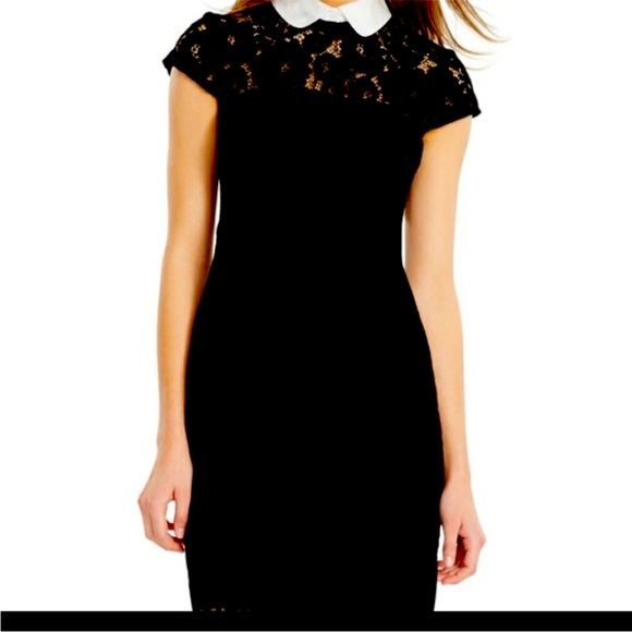 Ralph Lauren Lace Peter Pan Wednesday Adams or Riverdale Dress holiday - Picture 2 of 9